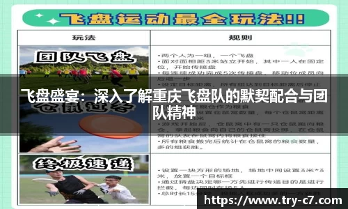 飞盘盛宴：深入了解重庆飞盘队的默契配合与团队精神
